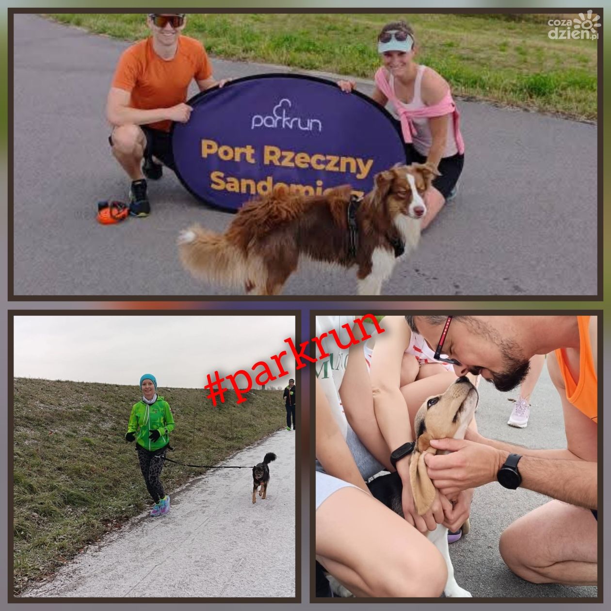 Psi parkrun w Sandomierzu! 93. edycja z okazji Dnia Psa już w sobotę, 5 lipca