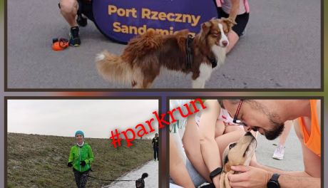 Psi parkrun w Sandomierzu! 93. edycja z okazji Dnia Psa już w sobotę, 5 lipca