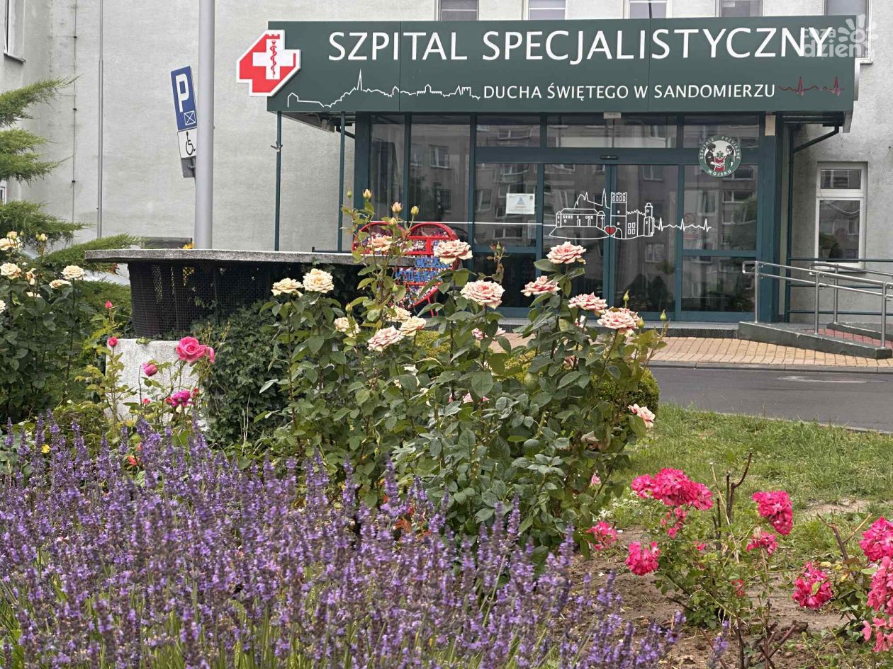Zielona metamorfoza wokół sandomierskiego szpitala. Ponad 200 drzew i nowe plany na przyszłość