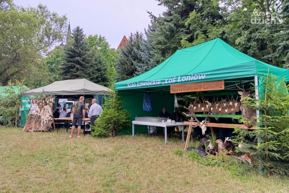 Piknik na sandomierskich błoniach – Święto Miodu i Dziczyzny przyciągnęło tłumy (ZDJĘCIA)