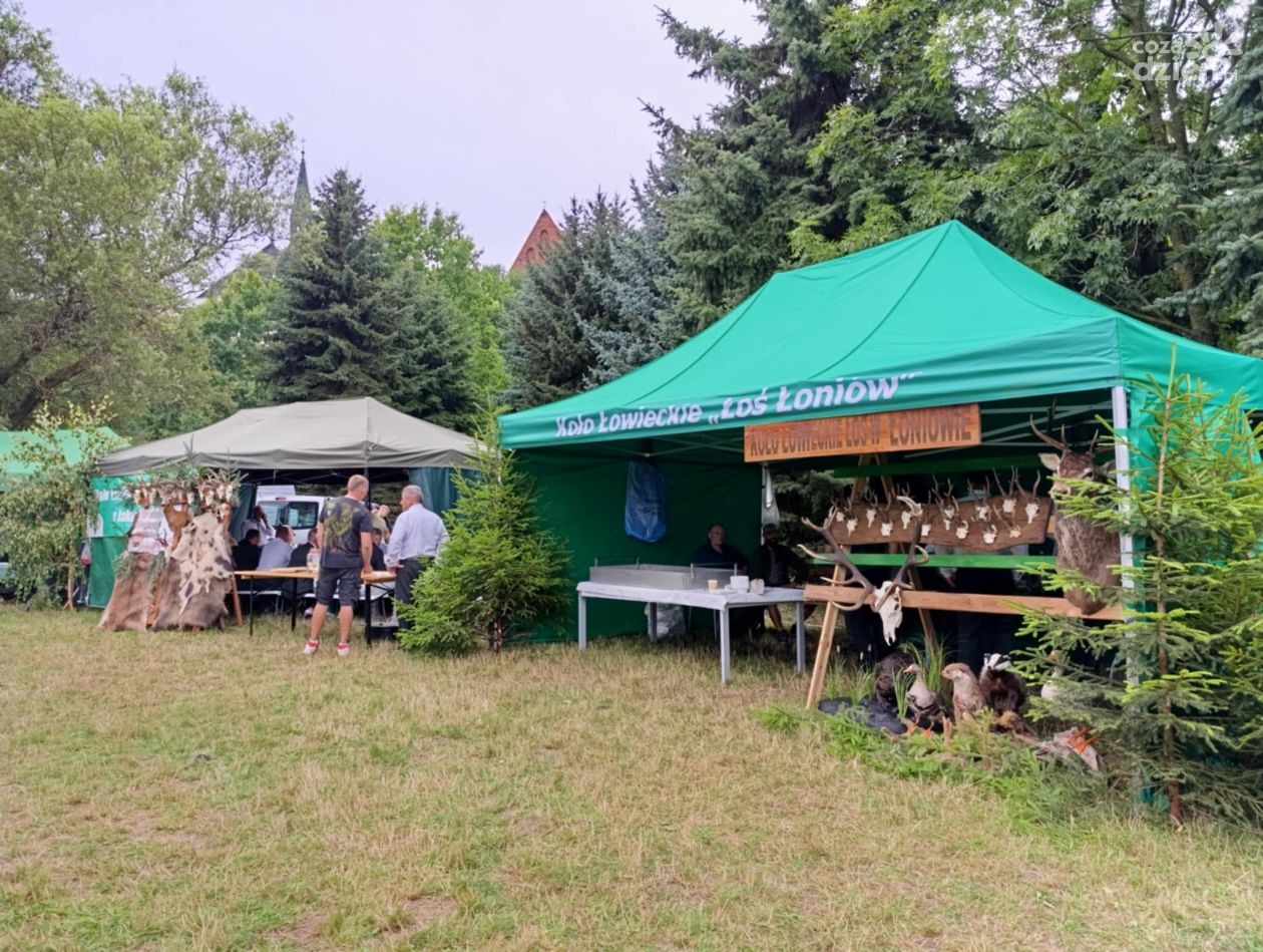 Piknik na sandomierskich błoniach – Święto Miodu i Dziczyzny przyciągnęło tłumy