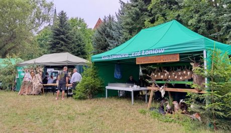 Piknik na sandomierskich błoniach – Święto Miodu i Dziczyzny przyciągnęło tłumy (ZDJĘCIA)