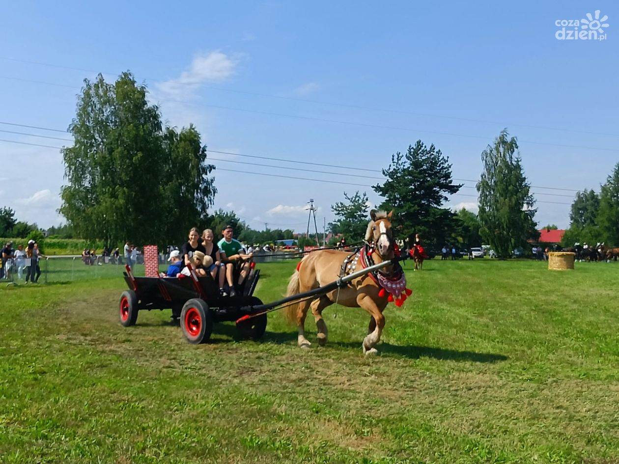 Wozy, konie i country – VIII Zlot Furmanek w Furmanach przeszedł do historii