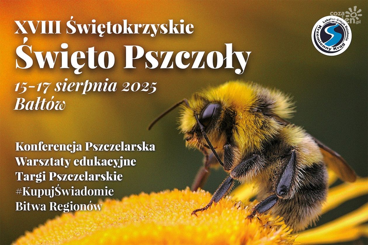 Pszczoły, miód i tradycja. W Bałtowie rusza XVIII Świętokrzyskie Święto Pszczoły