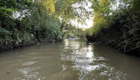 Kajaki, muzyka i ognisko – Koprzywnica zaprasza na wyjątkowe wydarzenie plenerowe
