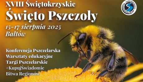Pszczoły, miód i tradycja. W Bałtowie rusza XVIII Świętokrzyskie Święto Pszczoły