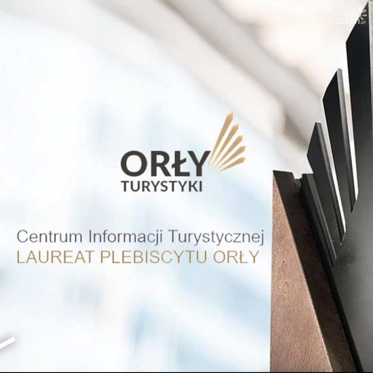 Sandomierskie Centrum Informacji Turystycznej w czołówce. Turyści ocenili je na 9,4 w plebiscycie „Orły Turystyki 2024”