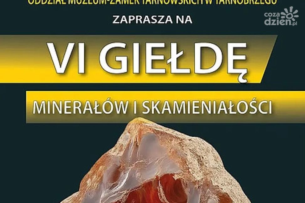 Trwa VI Giełda Minerałów i Skamieniałości