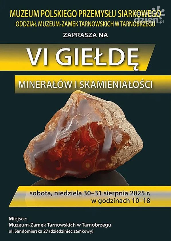 Trwa VI Giełda Minerałów i Skamieniałości