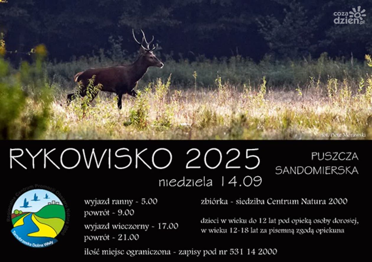 „Rykowisko 2025” – wycieczka do Puszczy Sandomierskiej w niedzielę, 14 września