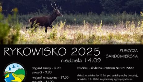 „Rykowisko 2025” – wycieczka do Puszczy Sandomierskiej w niedzielę, 14 września