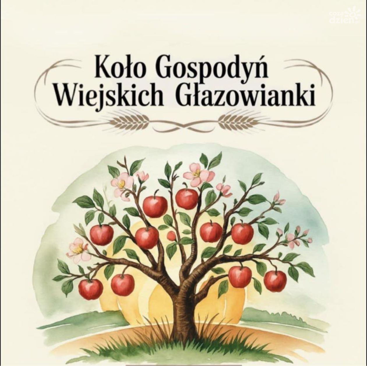 Głazowianki walczą o zwycięstwo w ogólnopolskim konkursie kulinarnym!