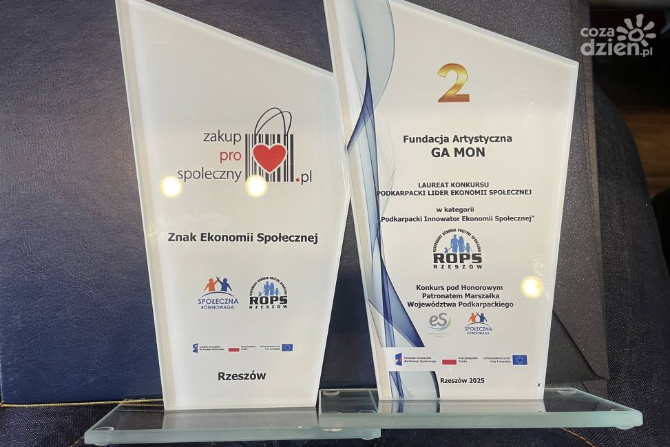 VIII Podkarpackie Forum Ekonomii Społecznej w Rzeszowie. Tarnobrzeska fundacja wśród laureatów