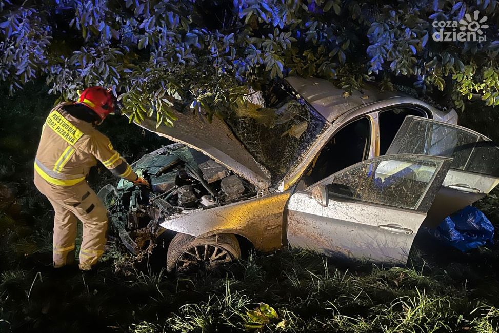 Samochód uderzył w drzewo na DK 9