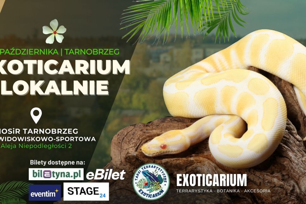 Egzotyczne zwierzęta w Tarnobrzegu – Exoticarium Lokalnie startuje już dziś!