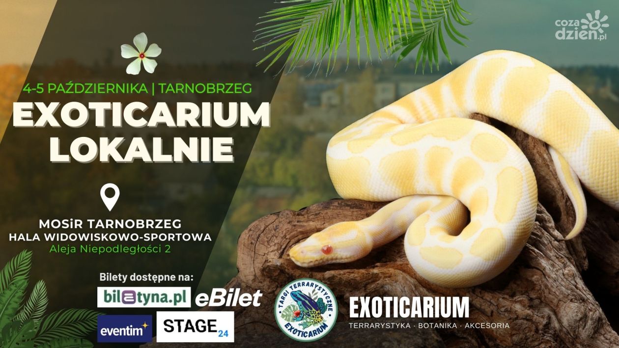 Egzotyczne zwierzęta w Tarnobrzegu – Exoticarium Lokalnie startuje już dziś!