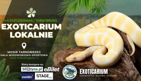 Egzotyczne zwierzęta w Tarnobrzegu – Exoticarium Lokalnie startuje już dziś!