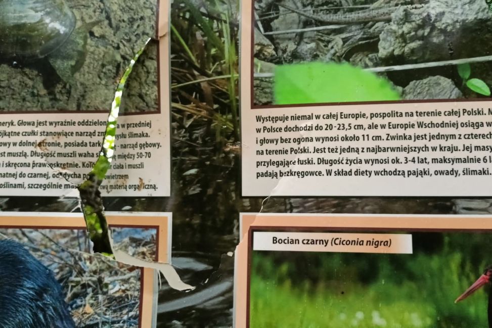 Zniszczone tablice edukacyjne w Górach Pieprzowych. Wspólnota wyznacza nagrodę za wskazanie sprawcy