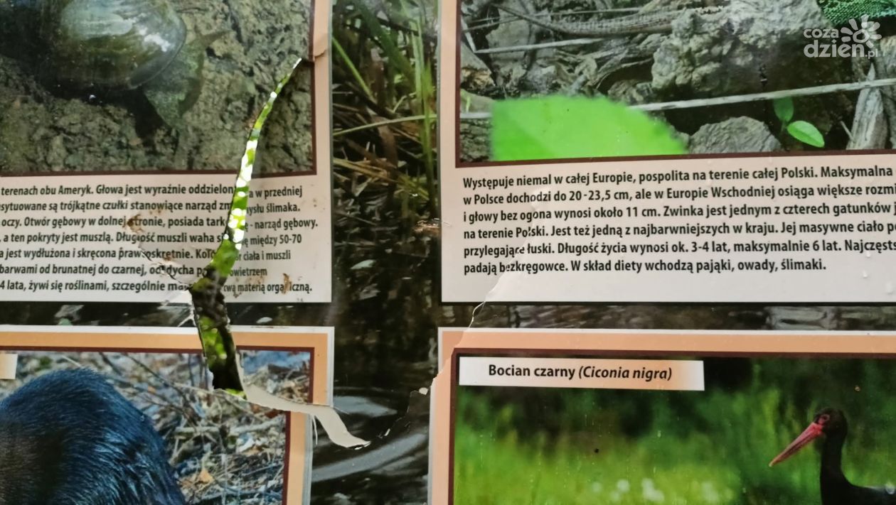 Zniszczone tablice edukacyjne w Górach Pieprzowych. Wspólnota wyznacza nagrodę za wskazanie sprawcy