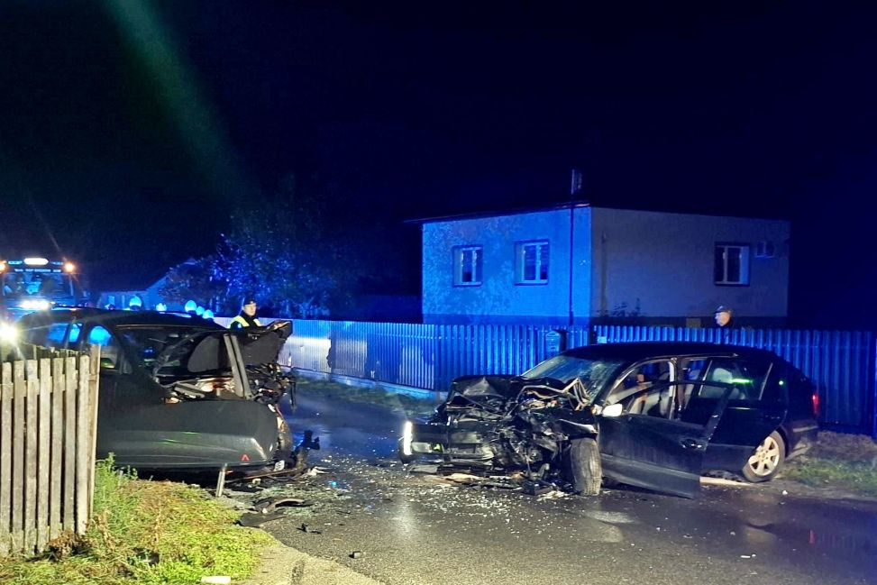 Czołowe zderzenie w Wydrzy. Pięć osób, w tym dwoje dzieci, trafiło do szpitala.