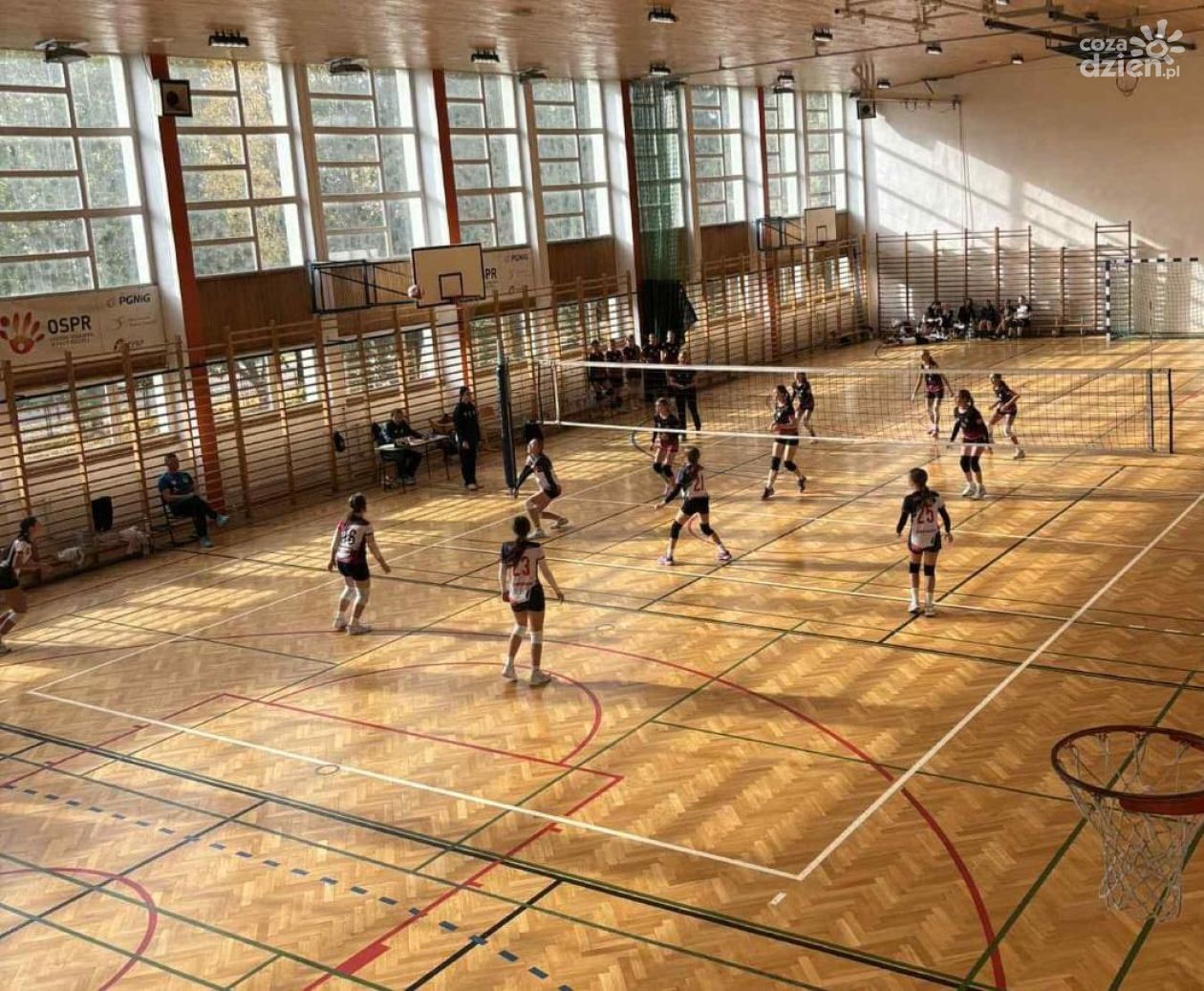Udany start młodych siatkarek MUKS Piątka Sandomierz w sezonie 2025/26 Świętokrzyskiej Ligi Młodzieżowej