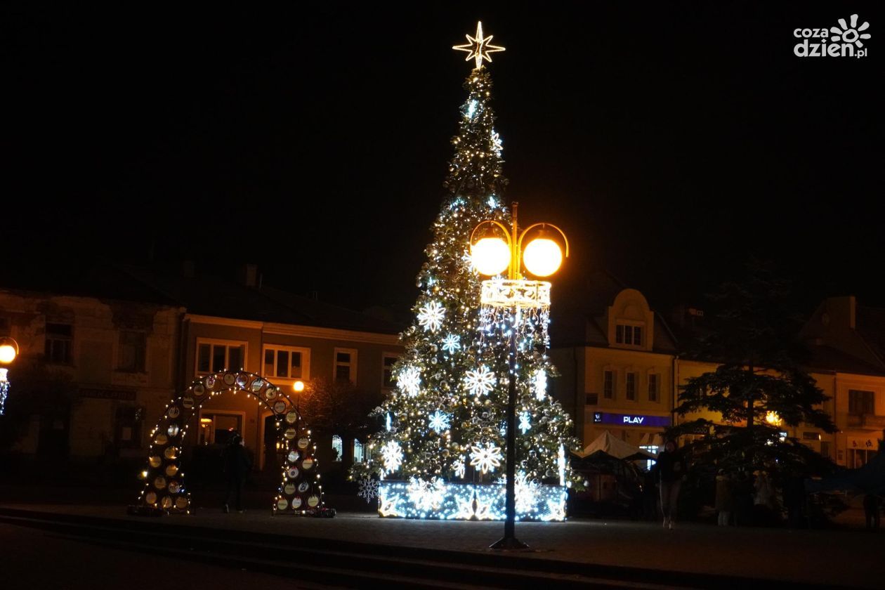 Tarnobrzeg: choinka na placu Bartosza Głowackiego już pewna