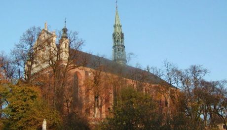 Podziemia sandomierskiej katedry otwarte dla zwiedzających