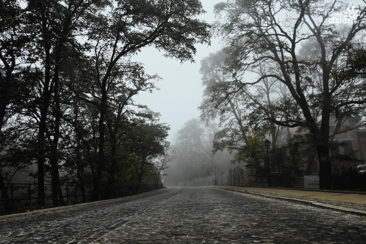 IMGW ostrzega przed gęstą mgłą w powiecie sandomierskim