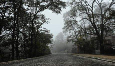 IMGW ostrzega przed gęstą mgłą w powiecie sandomierskim