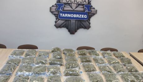 Ponad 21 kilogramów narkotyków przejęli tarnobrzescy policjanci. Dwóch mężczyzn trafiło do aresztu