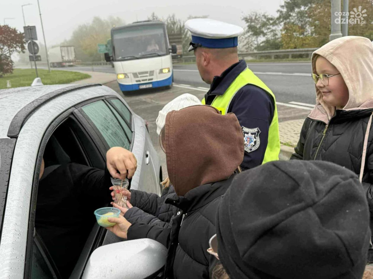„Odblaskowa Szkoła” w Sandomierzu – SP nr 2 promuje bezpieczeństwo na drodze