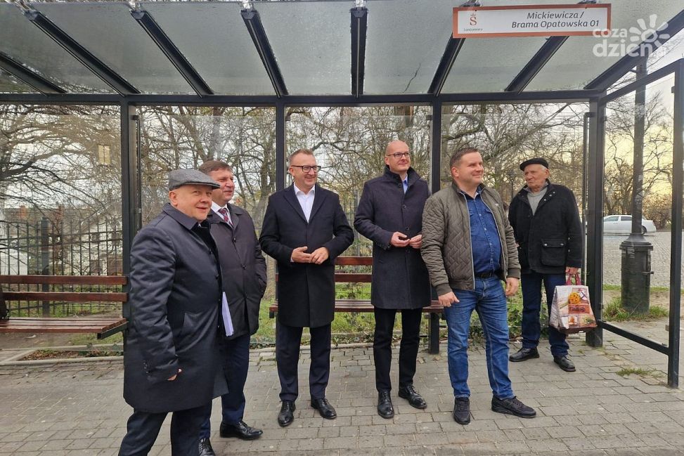 Będą nowe połączenia autobusowe! Tarnobrzeg, Zawichost, Ożarów i Gorzyce zyskają regularne kursy do Sandomierza i Ostrowca