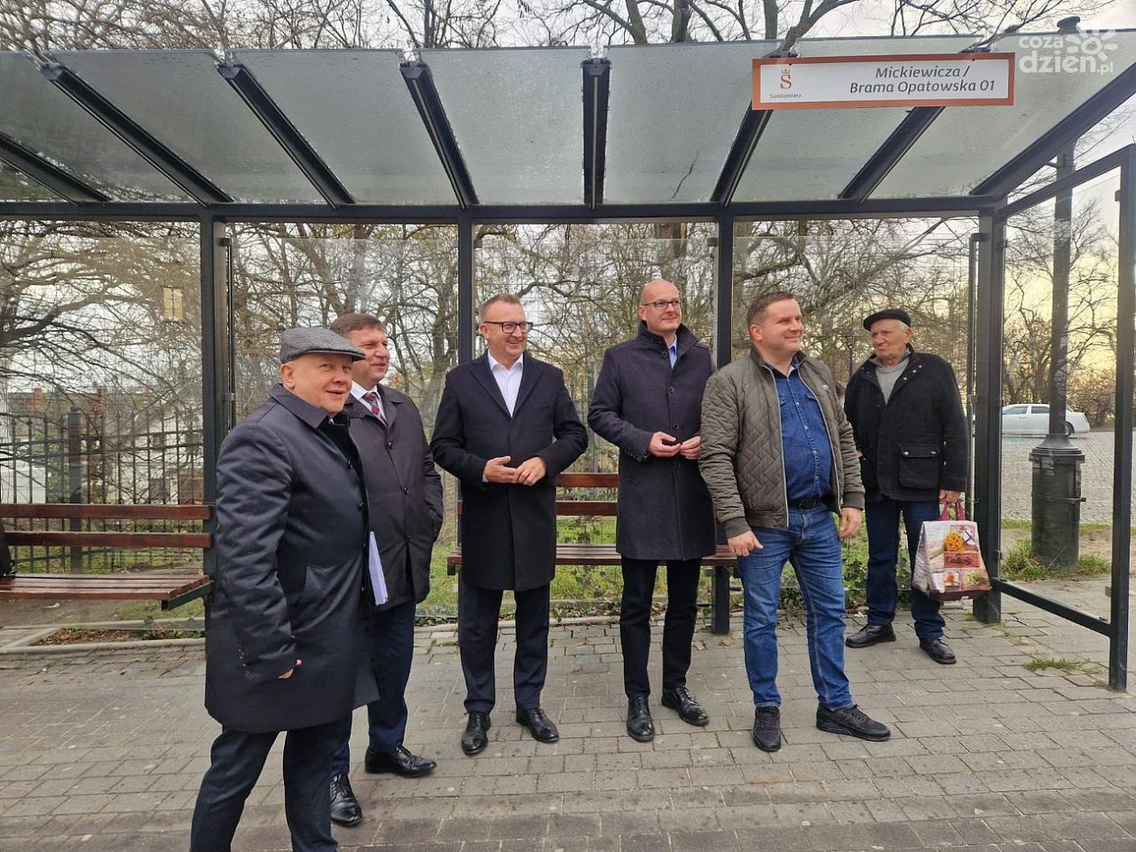 Będą nowe połączenia autobusowe! Tarnobrzeg, Zawichost, Ożarów i Gorzyce zyskają regularne kursy do Sandomierza i Ostrowca