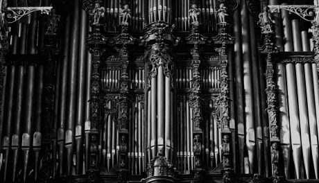 Zjazd Organistów Diecezji Sandomierskiej w Sandomierzu – muzyka, adoracja i wykłady