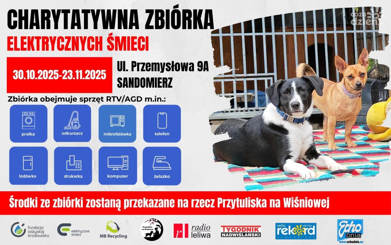 Pomóż zwierzętom i zadbaj o planetę – charytatywna zbiórka elektrycznych śmieci w Sandomierzu przedłużona do 23 listopada