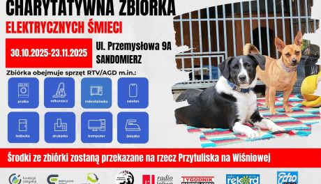 Pomóż zwierzętom i zadbaj o planetę – charytatywna zbiórka elektrycznych śmieci w Sandomierzu przedłużona do 23 listopada