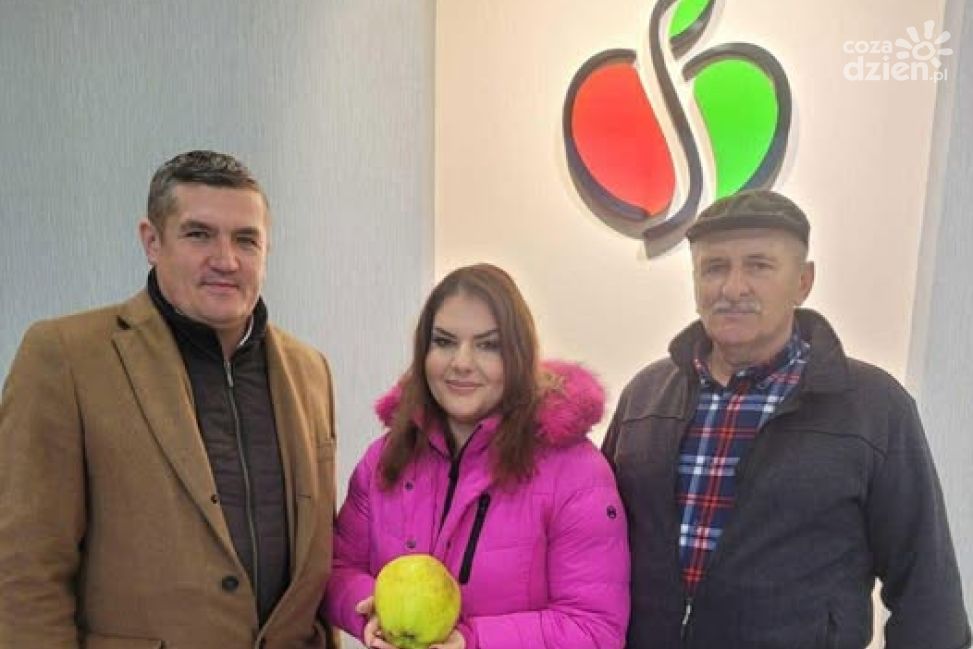 Historyczny sukces gminy Obrazów – najcięższe jabłko w Polsce pochodzi z Głazow