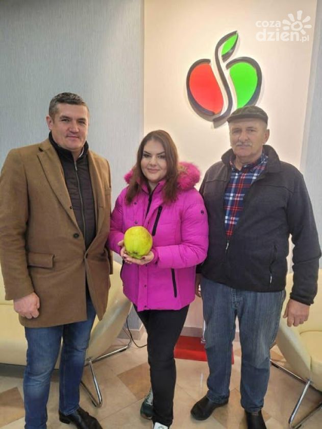 Historyczny sukces gminy Obrazów – najcięższe jabłko w Polsce pochodzi z Głazow