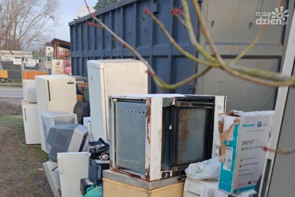 Zbiórka elektrośmieci w Sandomierzu ponownie przedłużona. Pomoc dla zwierząt potrwa do 5 grudnia