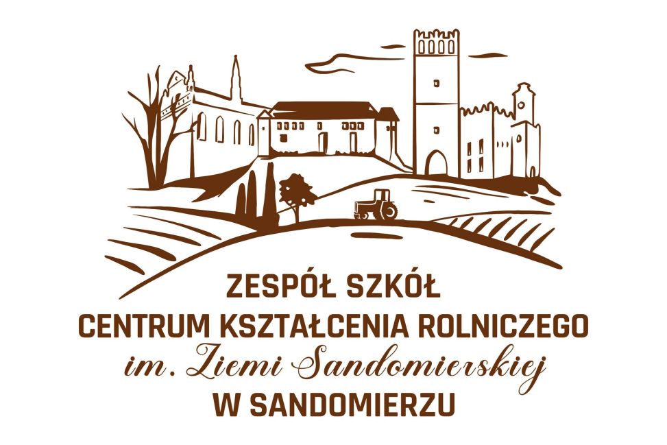 Debata społeczna dotycząca bezpieczeństwa młodzieży w Sandomierzu