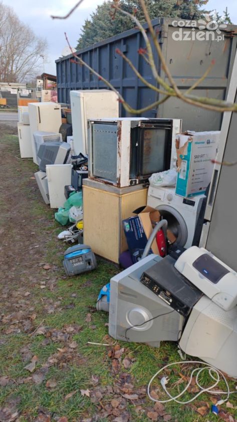 Zbiórka elektrośmieci w Sandomierzu ponownie przedłużona. Pomoc dla zwierząt potrwa do 5 grudnia