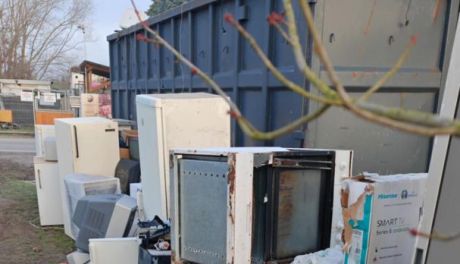 Zbiórka elektrośmieci w Sandomierzu ponownie przedłużona. Pomoc dla zwierząt potrwa do 5 grudnia