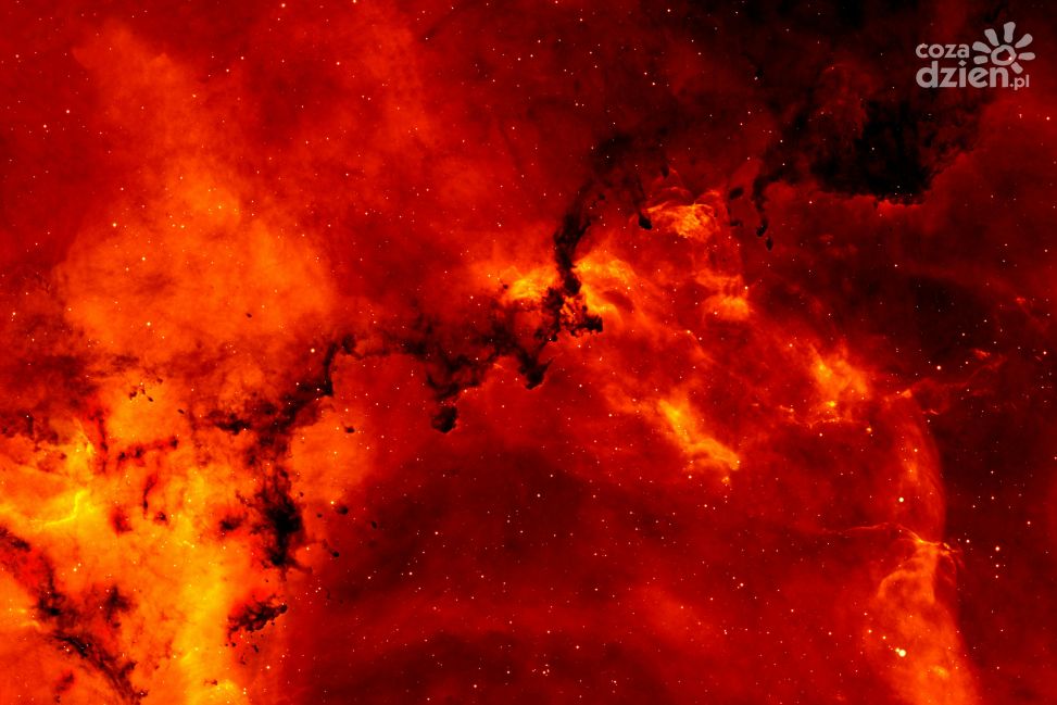 Pożar hali w strefie przemysłowej Stalowej Woli. Komunikat Prezydenta ws. jakości powietrza