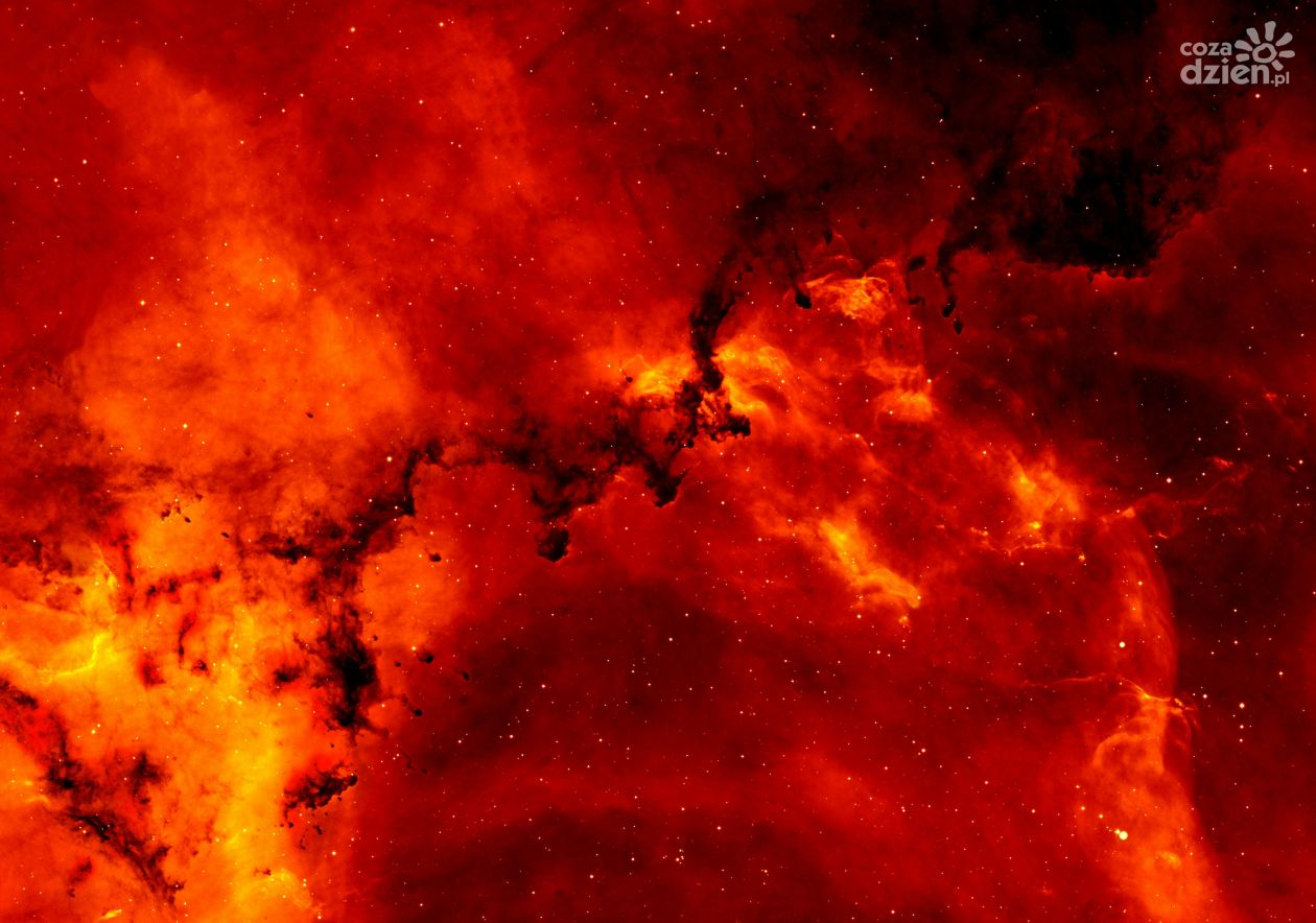 Pożar hali w strefie przemysłowej Stalowej Woli. Komunikat Prezydenta ws. jakości powietrza