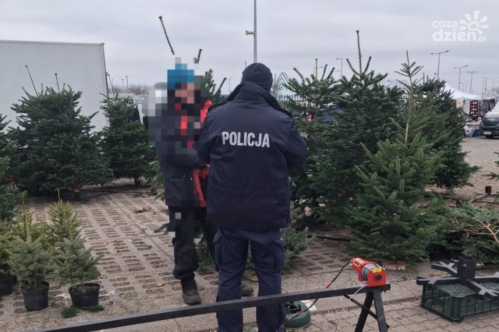 Policja kontroluje sprzedaż choinek. Uwaga na nielegalne drzewka