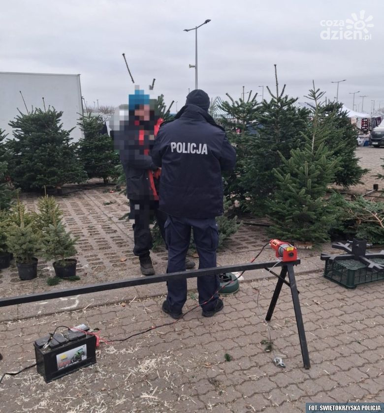 Policja kontroluje sprzedaż choinek. Uwaga na nielegalne drzewka