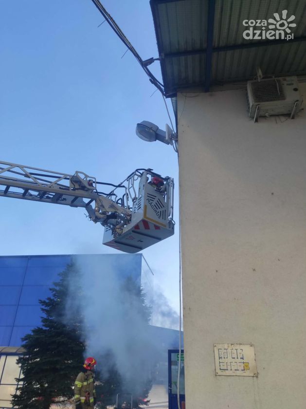 Ćwiczenia obronne w Gminie Samborzec. Zobaczcie galerię zdjęć