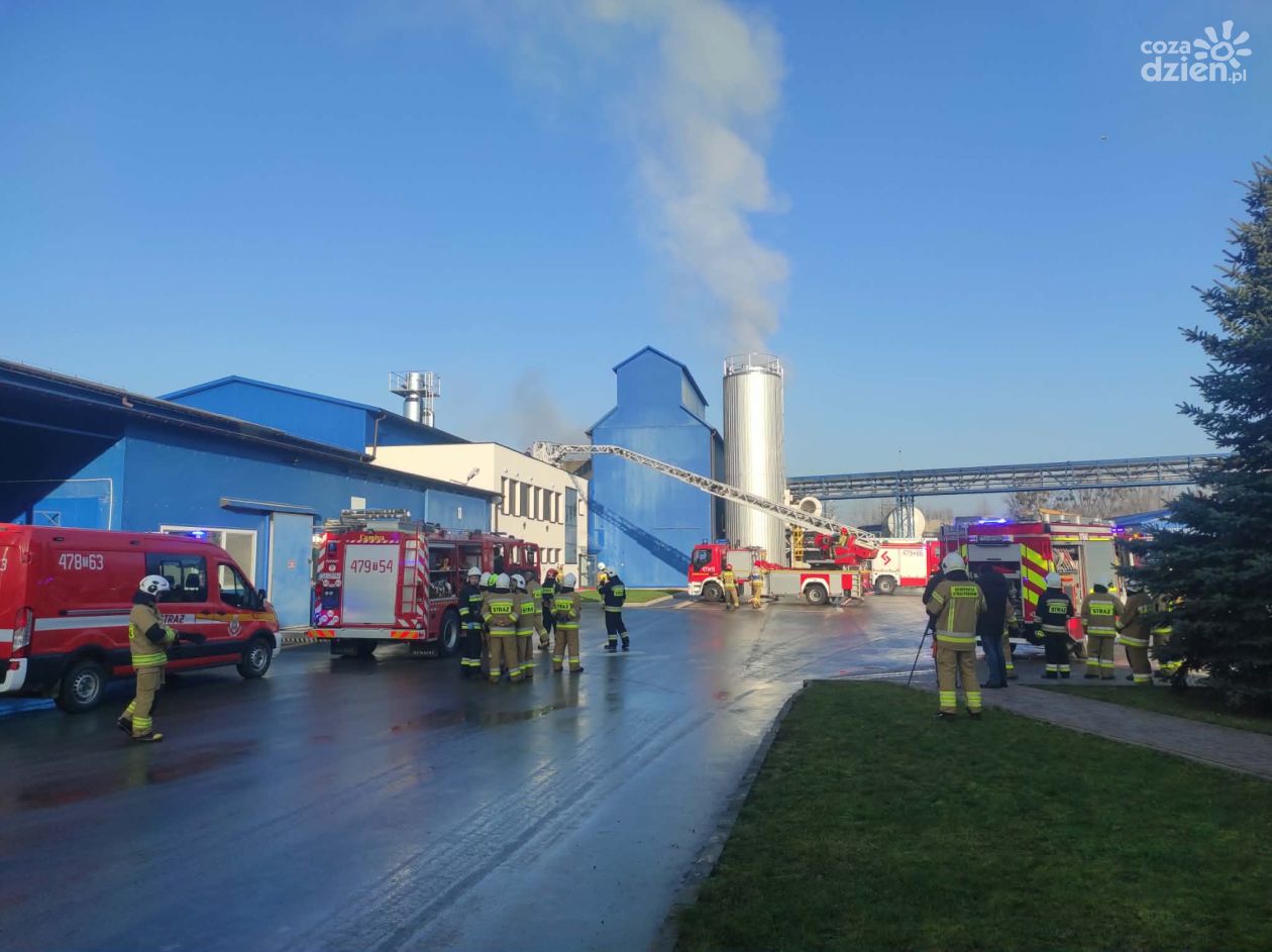 Ćwiczenia obronne w Gminie Samborzec. Służby doskonaliły współpracę i gotowość na zagrożenia.