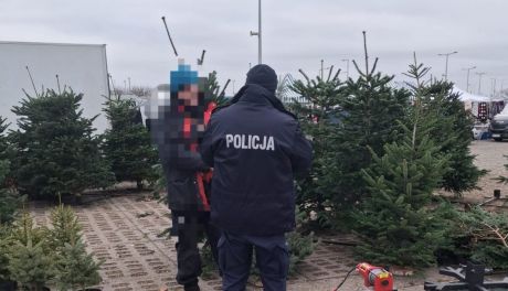 Policja kontroluje sprzedaż choinek. Uwaga na nielegalne drzewka
