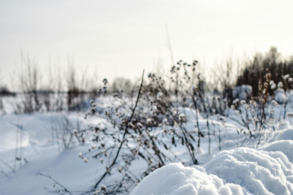 Nawet 70 cm śniegu w kilka dni. IMGW ostrzega przed silnym atakiem zimy